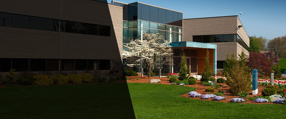 Ithaca Landscapers