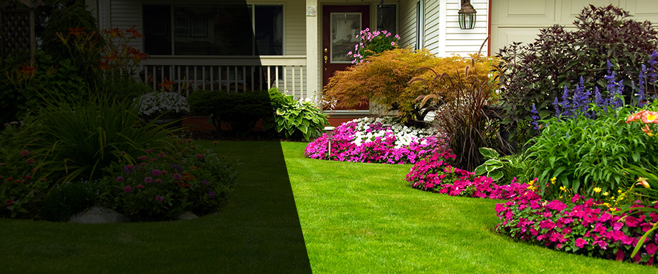 Ithaca Landscapers