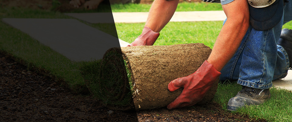 Ithaca Landscapers